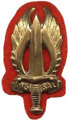 sadf-infantry-regiment-n-ransvaal-beret-badge